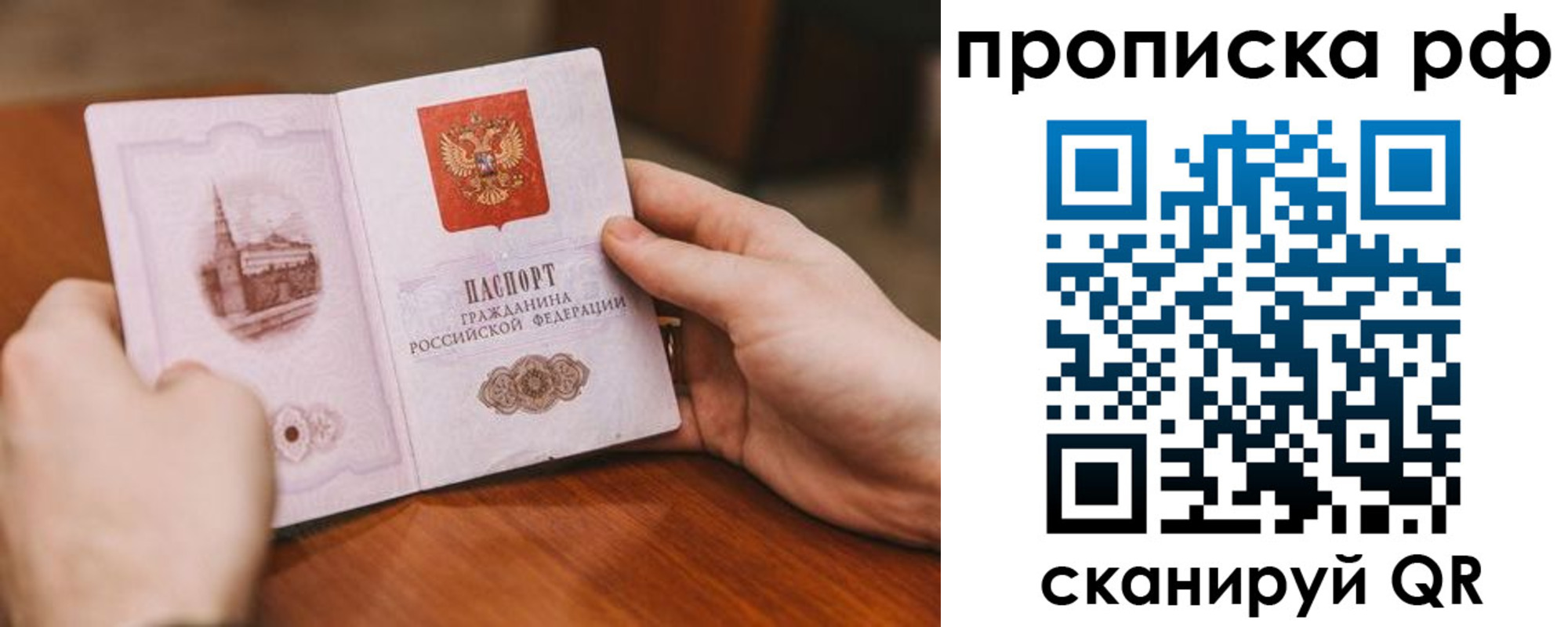 прописка поиск в Камешково